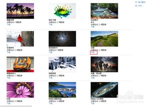 电脑主题怎么更换