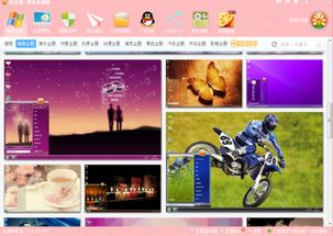 电脑主题、常用软件与安全防护软件的选择与探讨